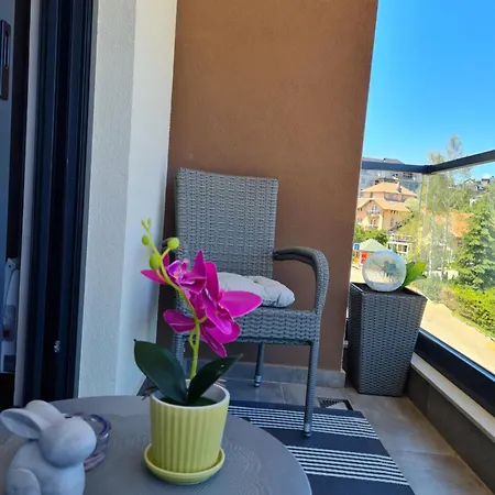 Ilic * ズラティボール