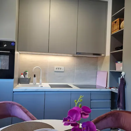 Ilic アパート ズラティボール