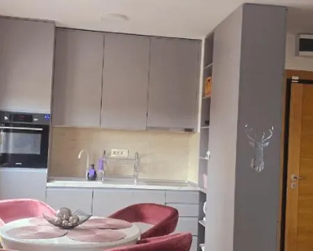 Ilic Apartment *