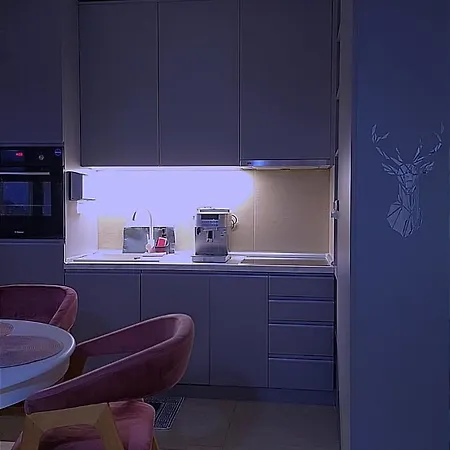 Ilic * ズラティボール