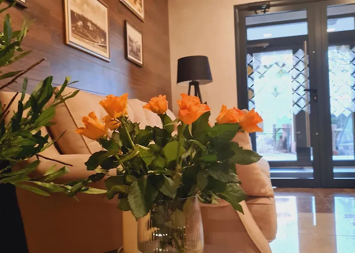 Ilic * זלאטיבור